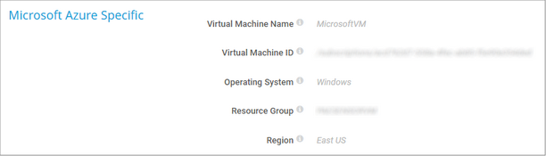 Microsoft Azure Specific